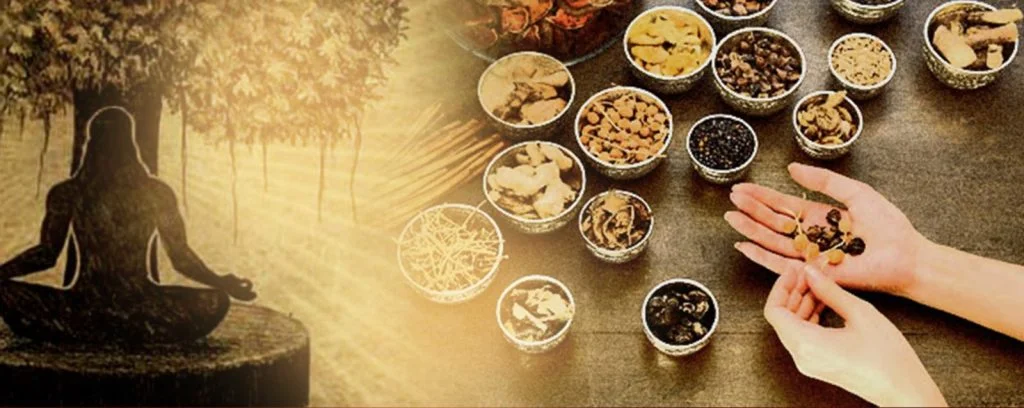 Ayush Neet Ug Counselling